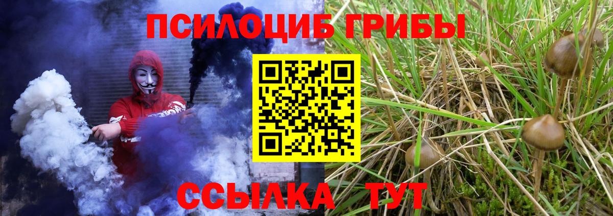цены наркотик  Галлюциногенные грибы MAGIC MUSHROOMS  Алатырь  Вход с VPN  Псилоцибиновые грибы Psilocybe 