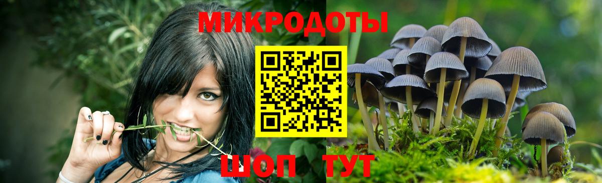 Галлюциногенные грибы мухоморы Алатырь